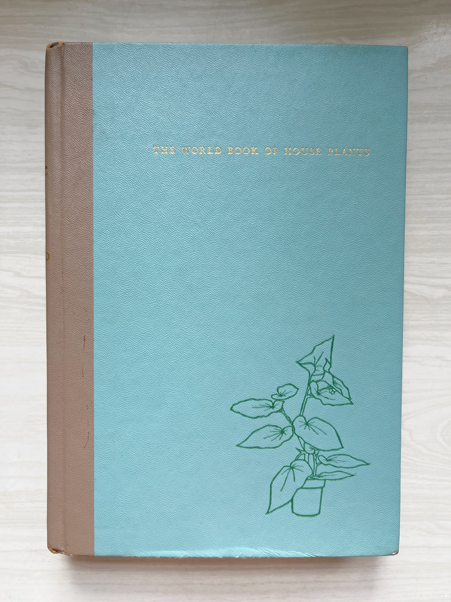 The World Book of Houseplants