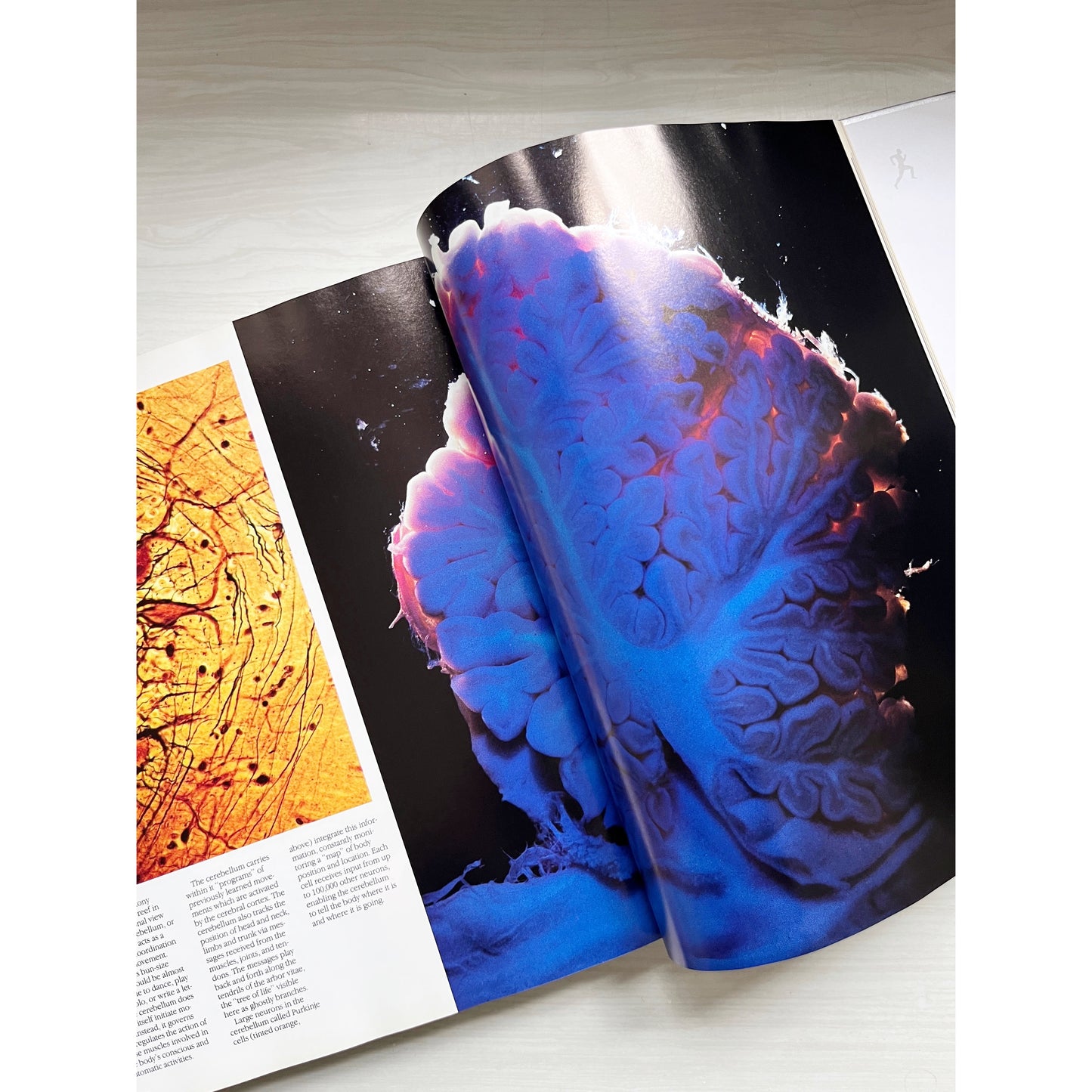 The Incredible Machine Book