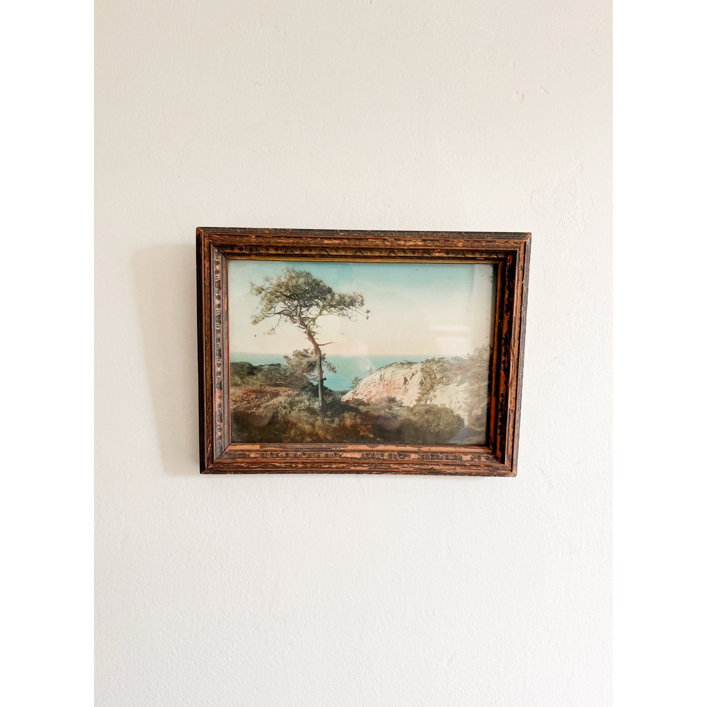 Landscape Print