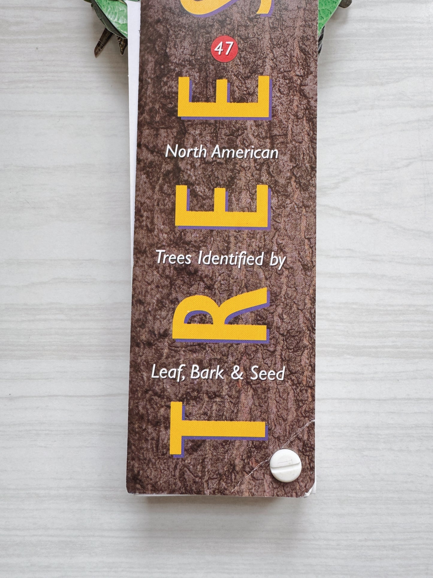 Custom Listing for Andrea (Leaf Book)