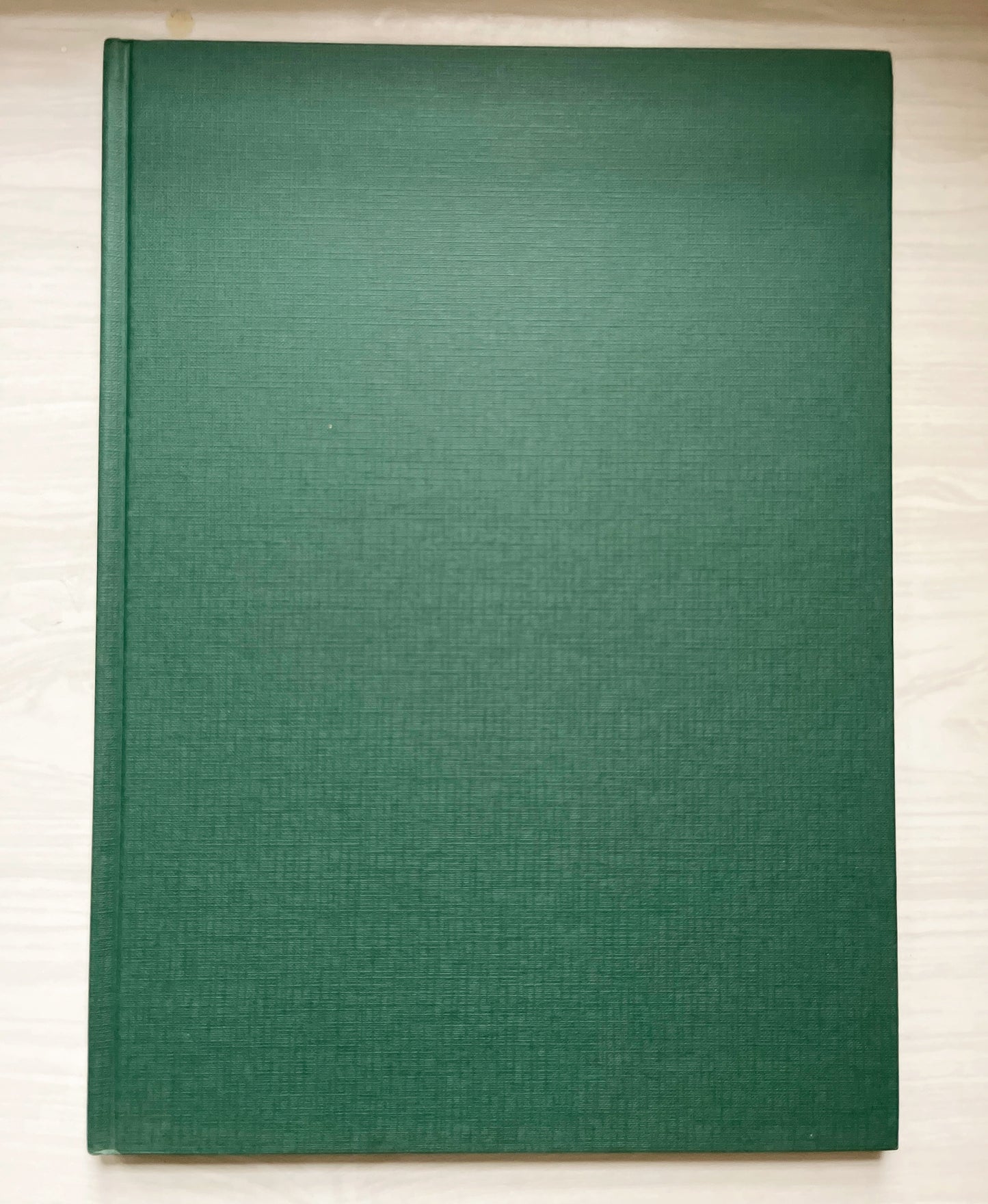 Georgia O'Keefe Book