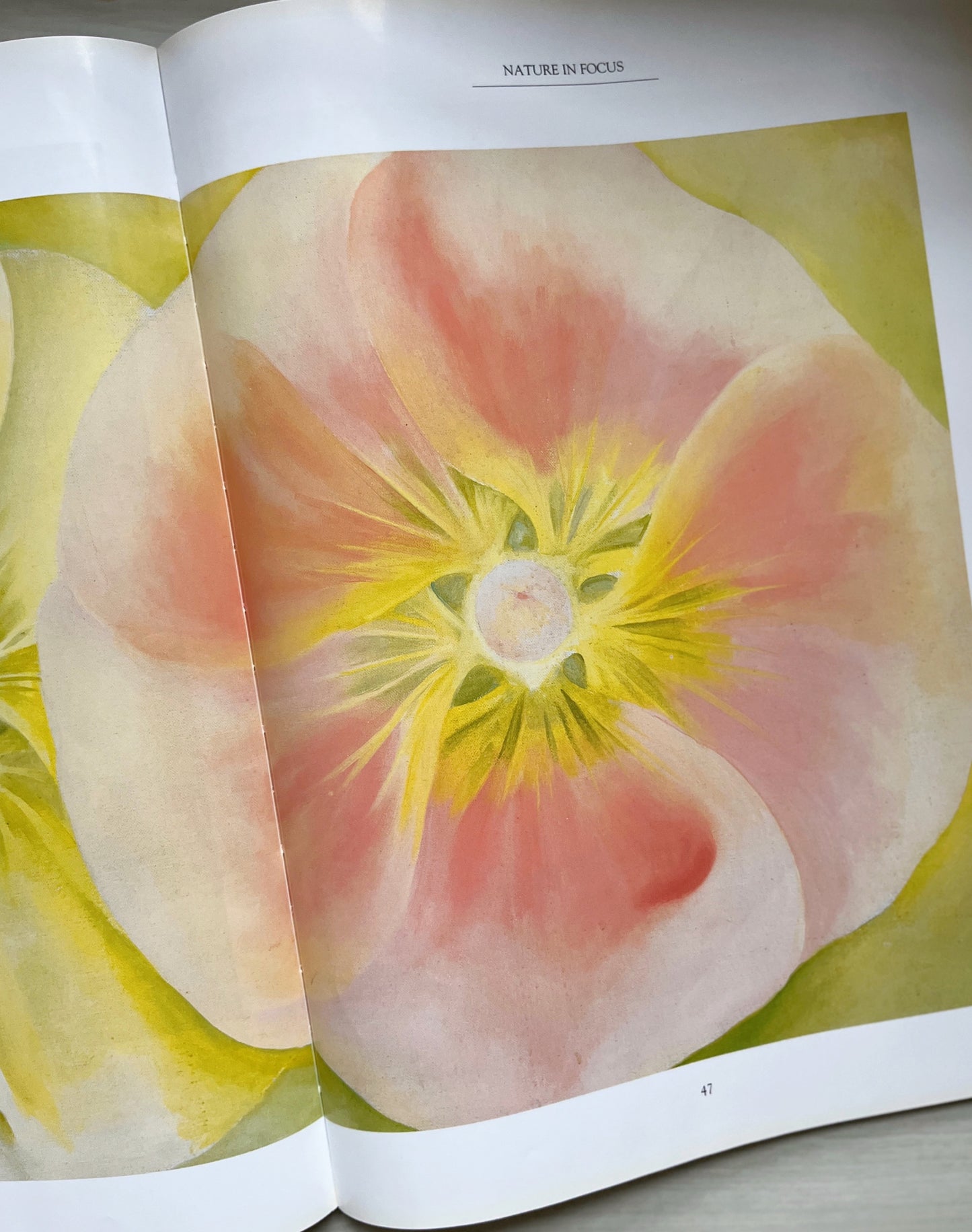 Georgia O'Keefe Book