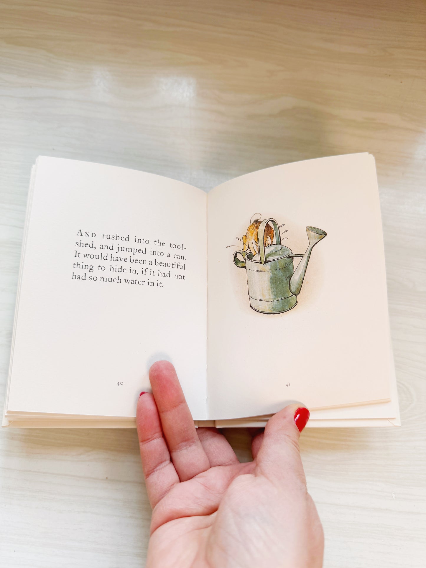 Peter Rabbit Book