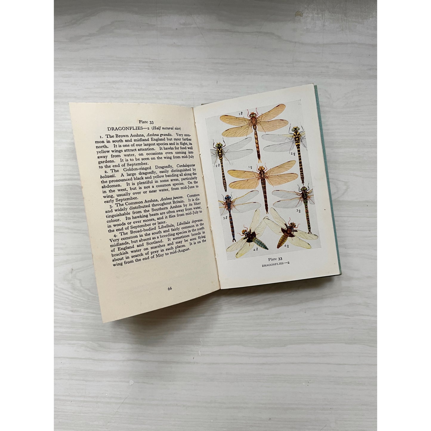 The Observer's Book of Pond Life