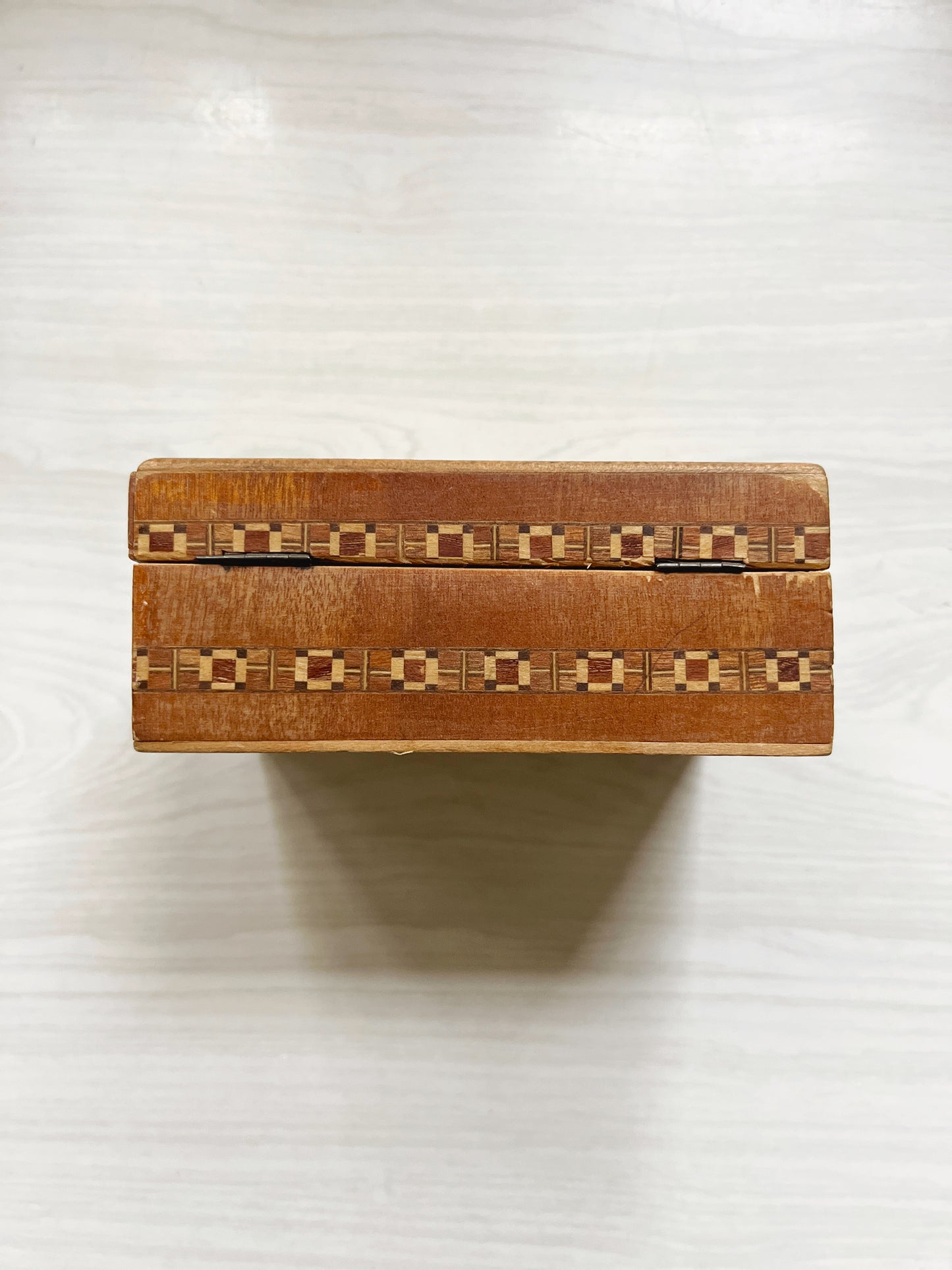 Terrier Box