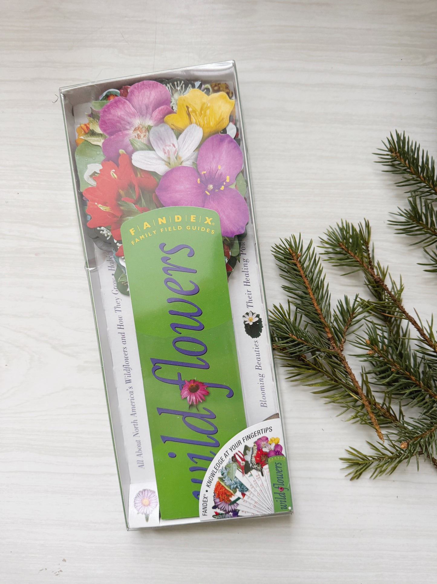 Wildflowers Family Field Guide (Brand New)