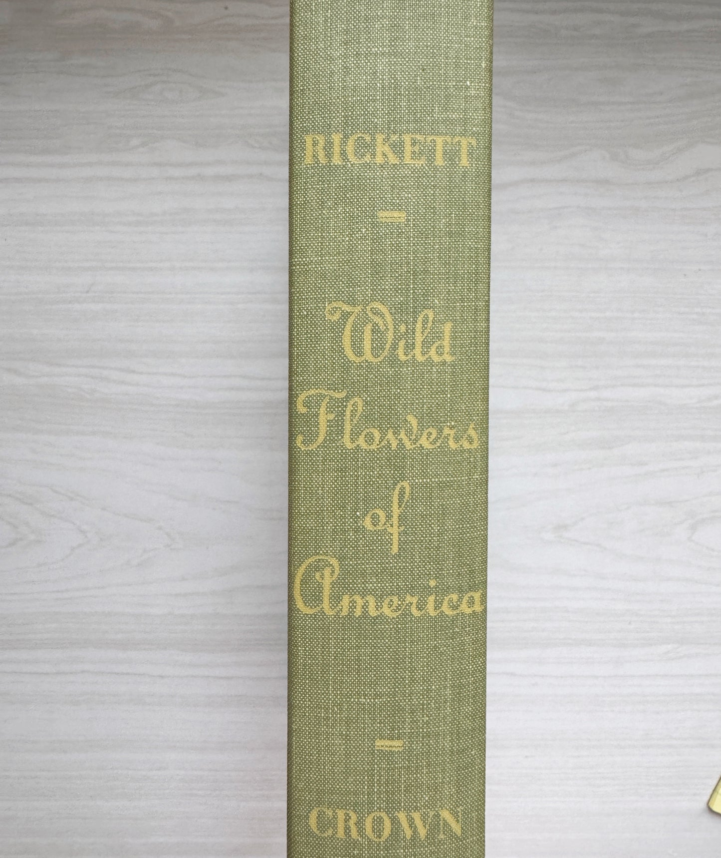 Wild Flowers of America