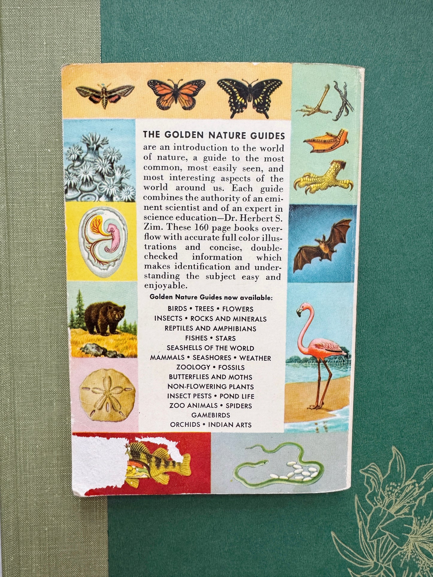 Golden Science Guide: Zoology