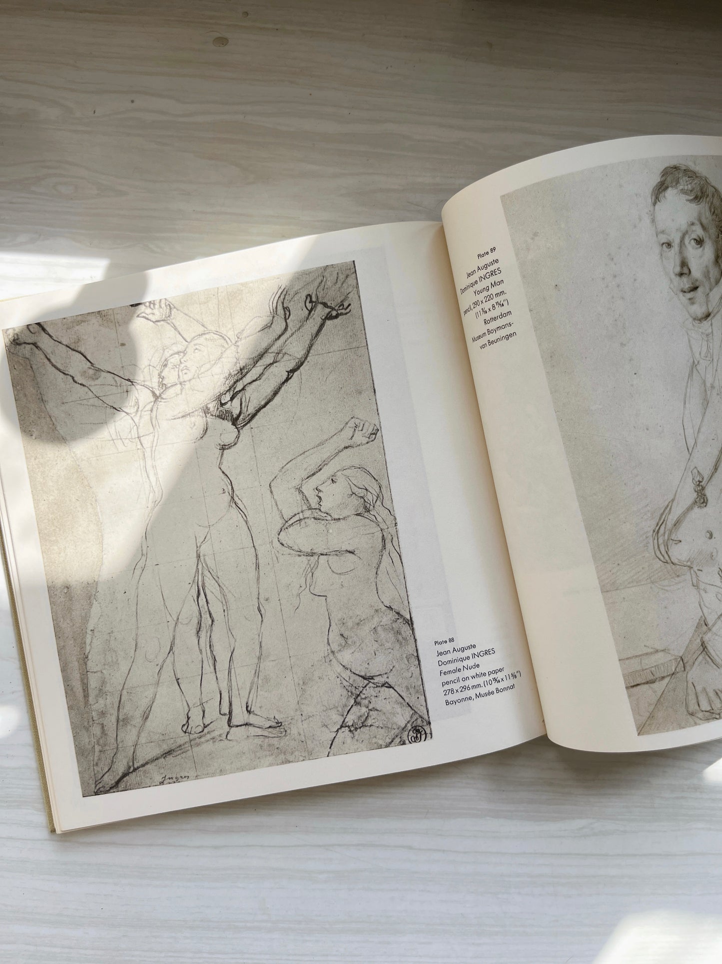 Drawings of the Masters: French Drawings Book