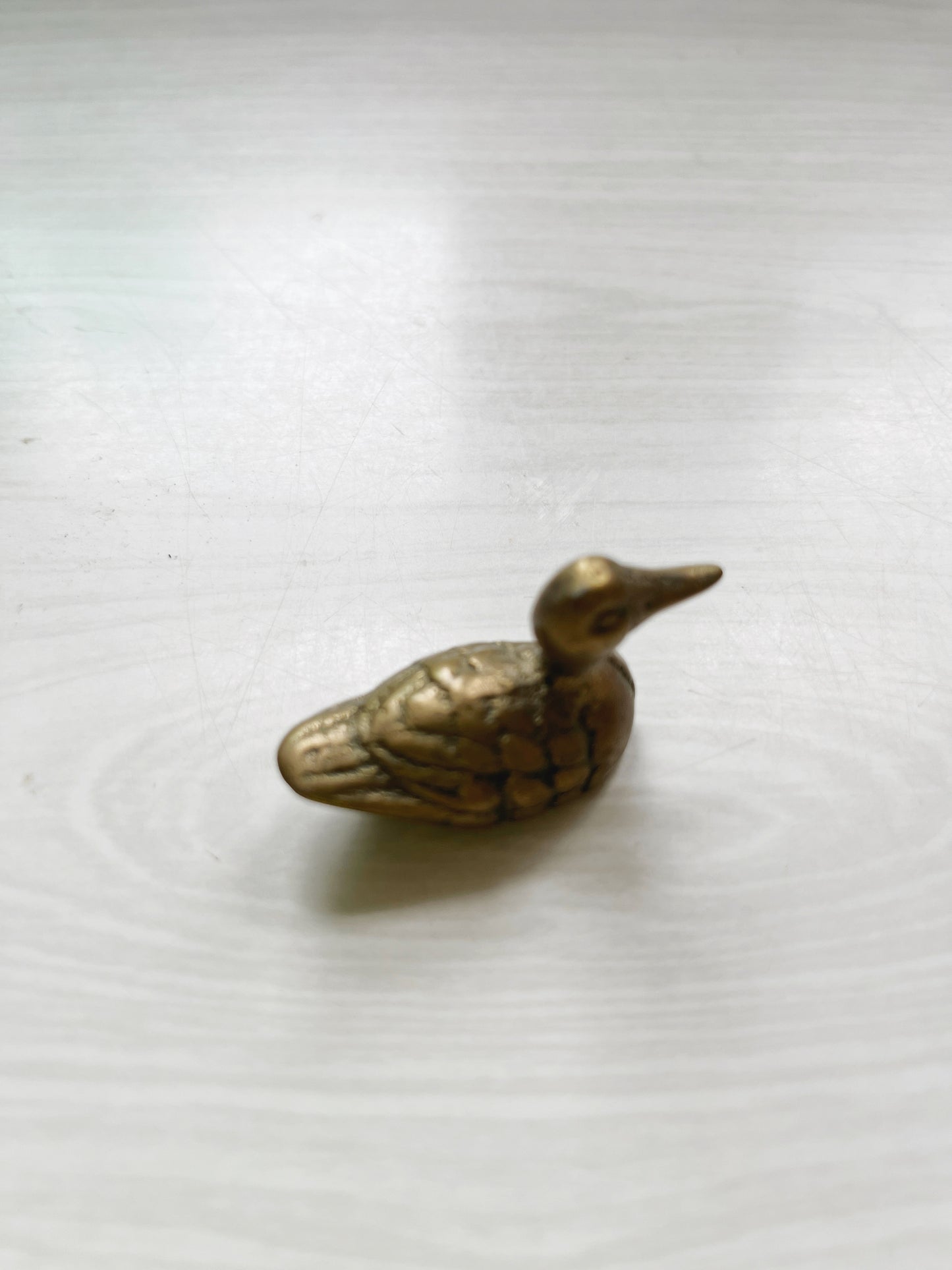 Tiny Brass Duck