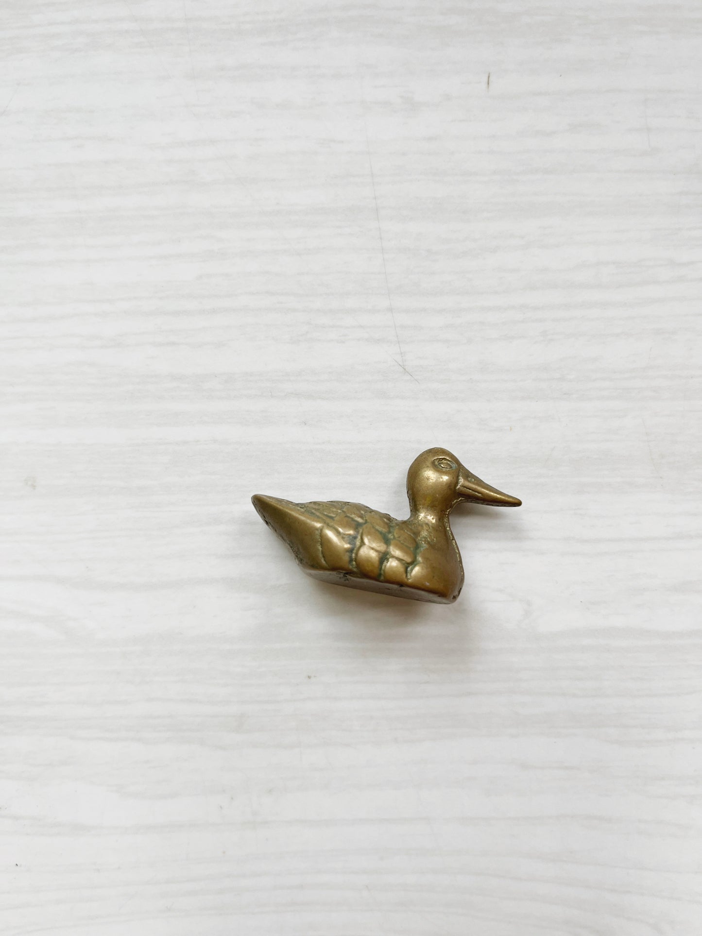 Tiny Brass Duck