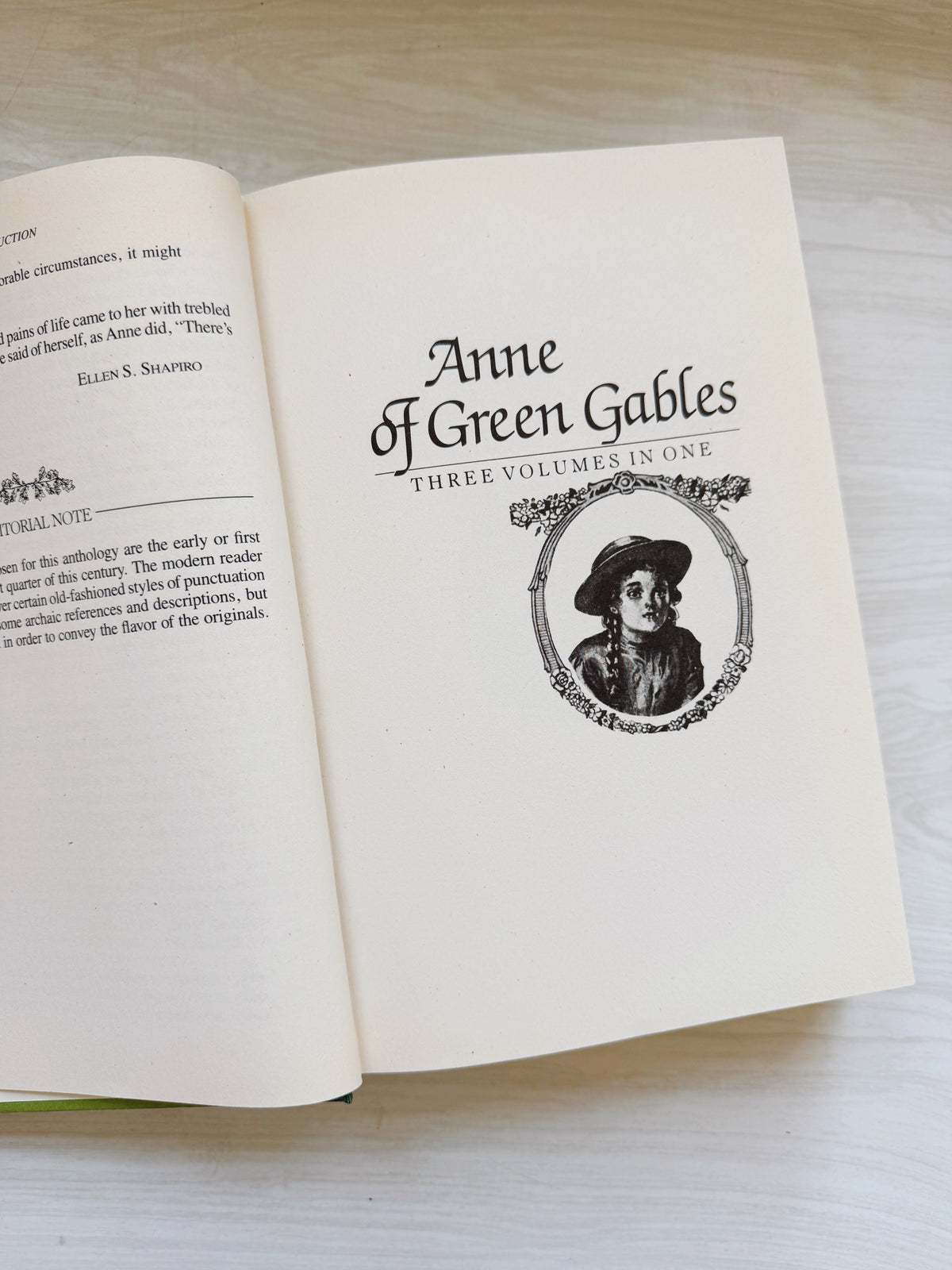 Anne of Green Gables Compilation