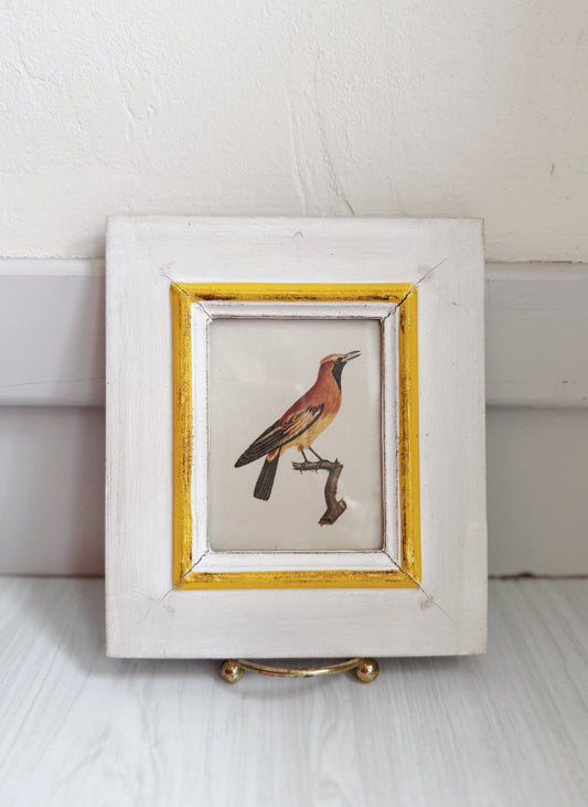 Italian Bird Print