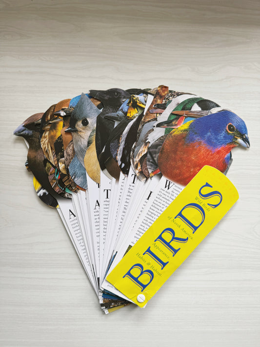 Birds of North America Field Guide