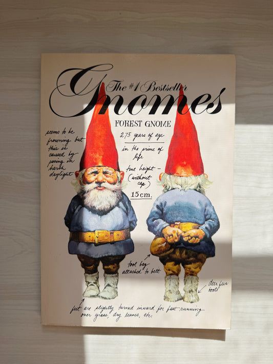 Custom Listing for Regina (Gnomes book)
