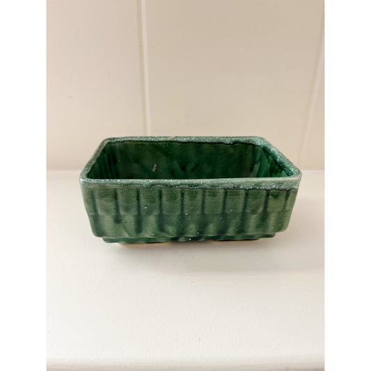 Evergreen Planter