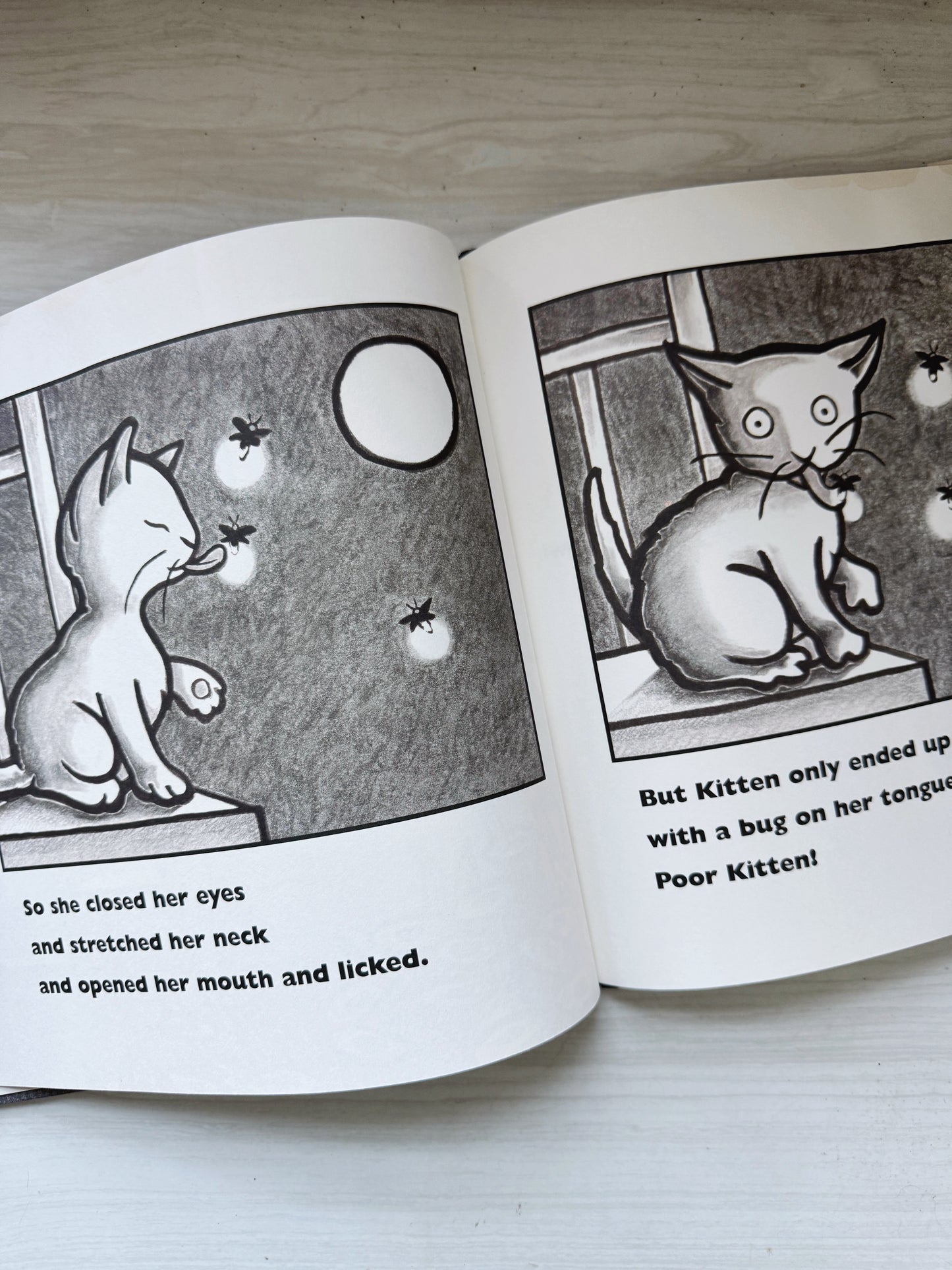 Kitten's First Full Moon