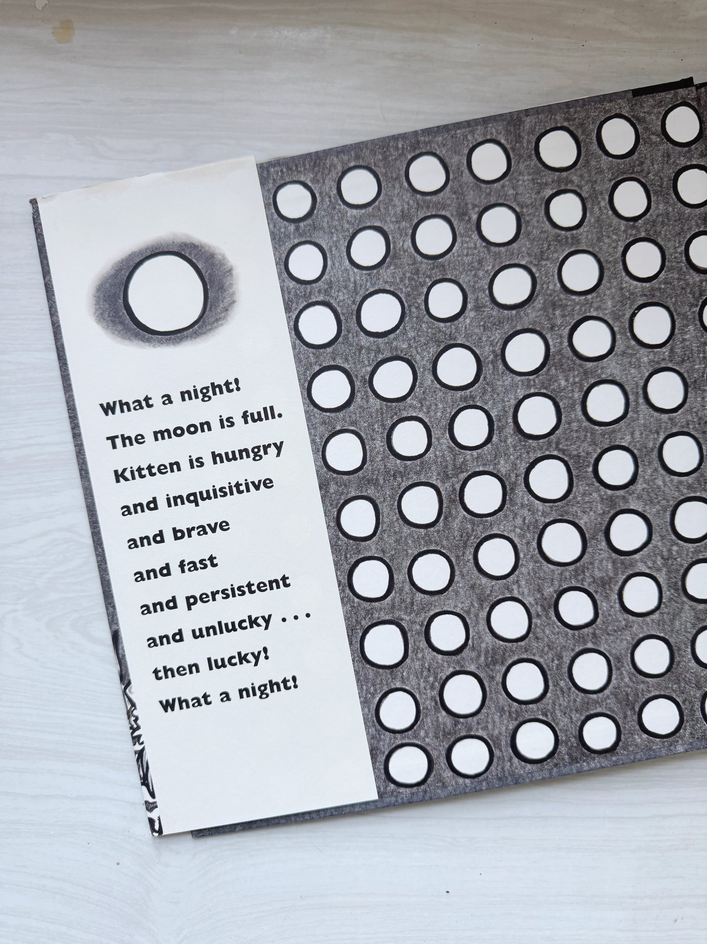 Kitten's First Full Moon