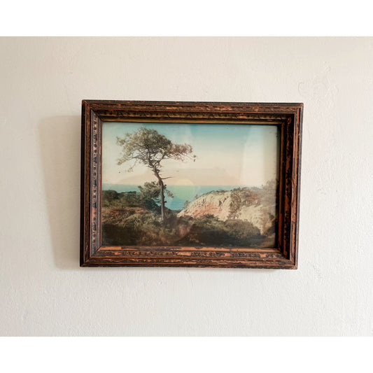 Landscape Print