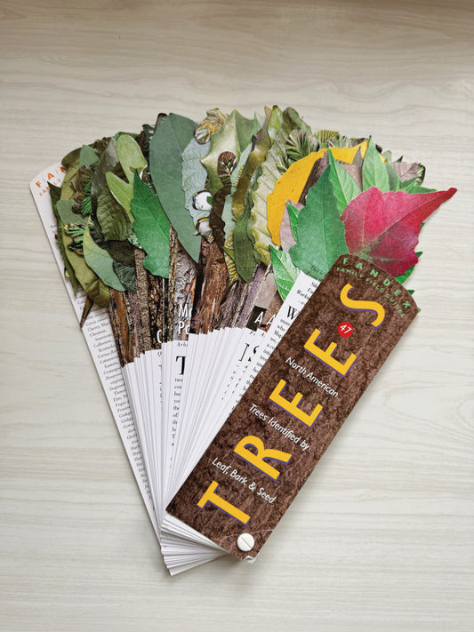 Custom Listing for Andrea (Leaf Book)