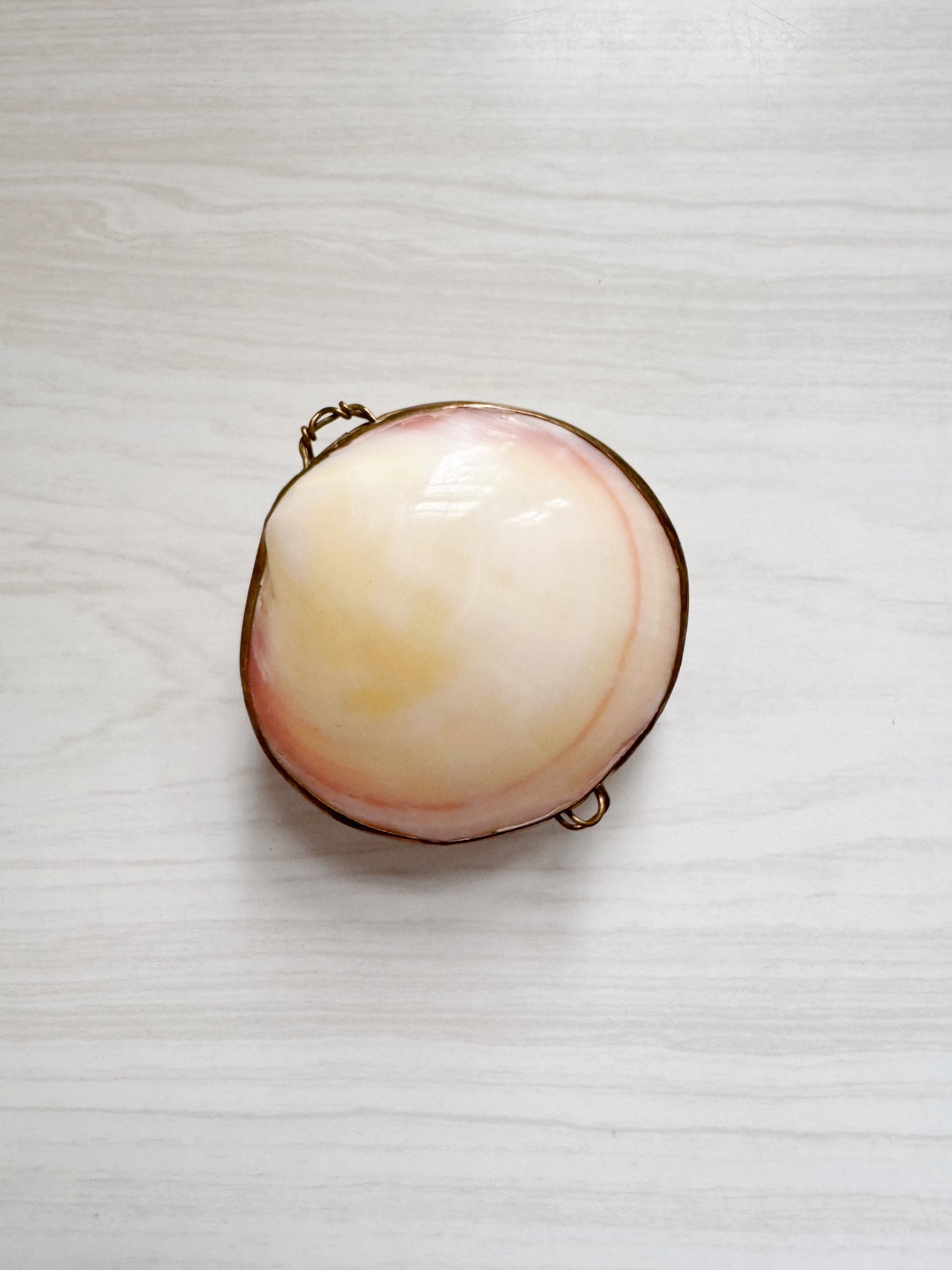 Custom Listing for Regina (Shell Box)