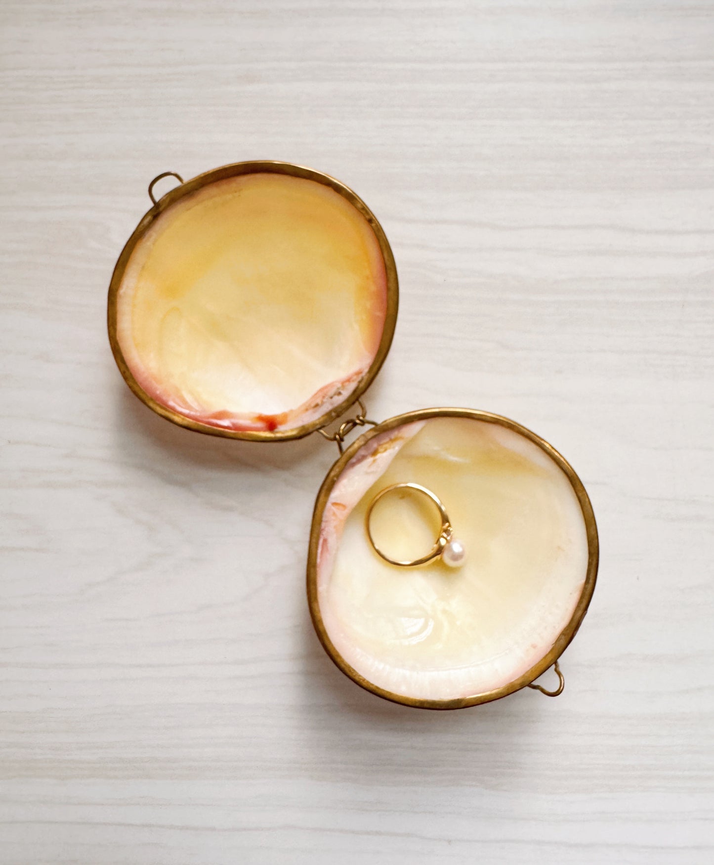 Custom Listing for Regina (Shell Box)