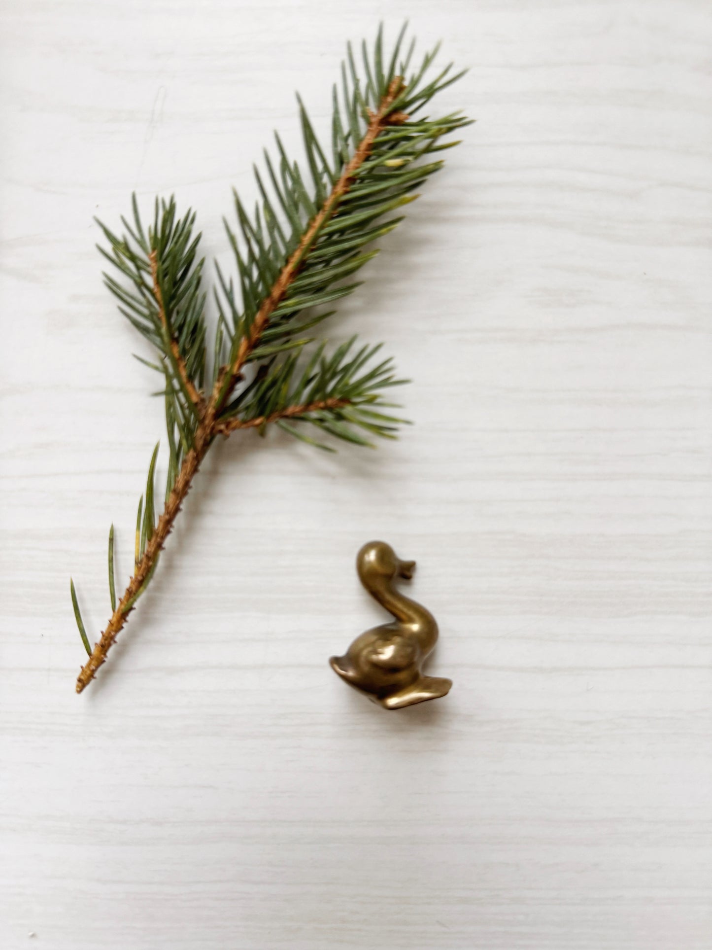 Tiny Brass Duck