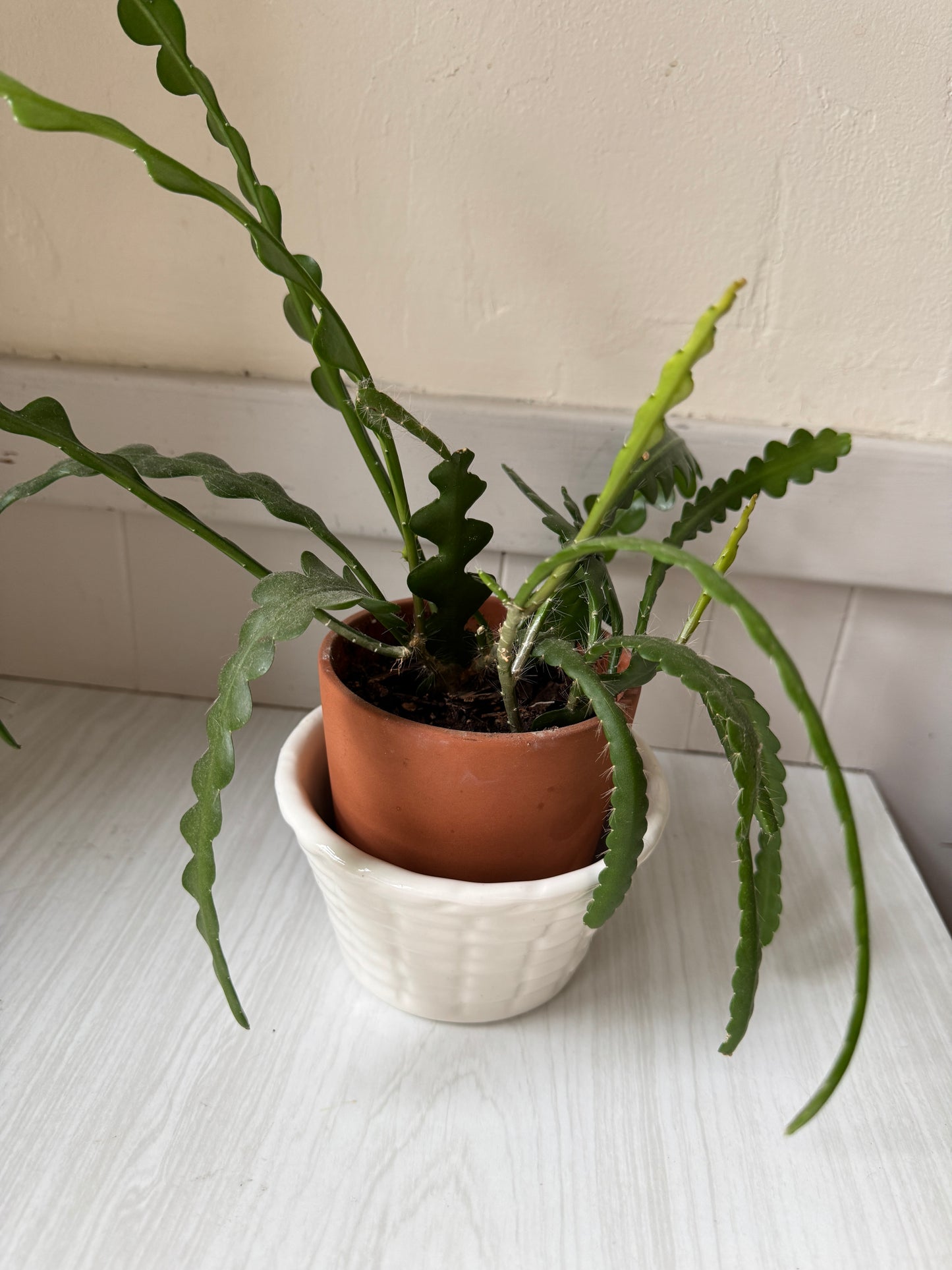 White Basket-Texture Planter