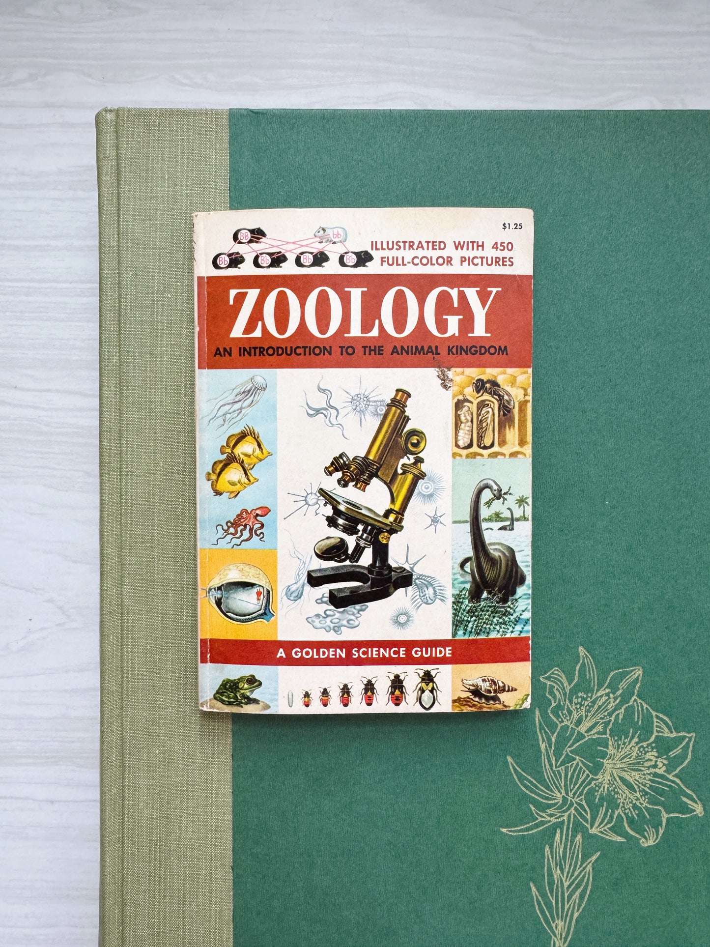 Golden Science Guide: Zoology